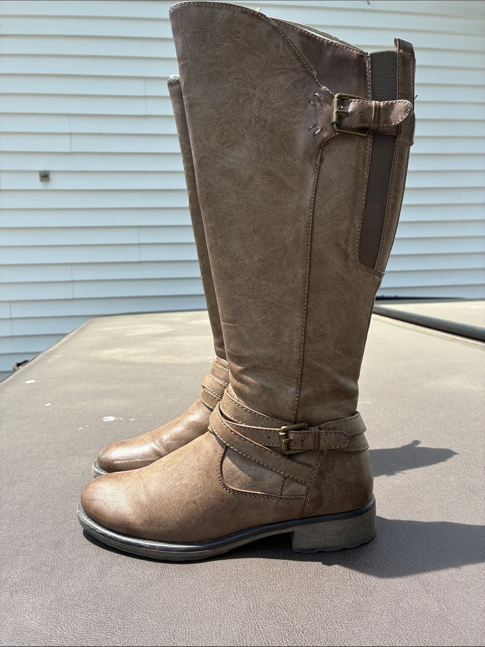 Bear traps Alysa new Classic Women's Knee-High Riding Boots in Brown